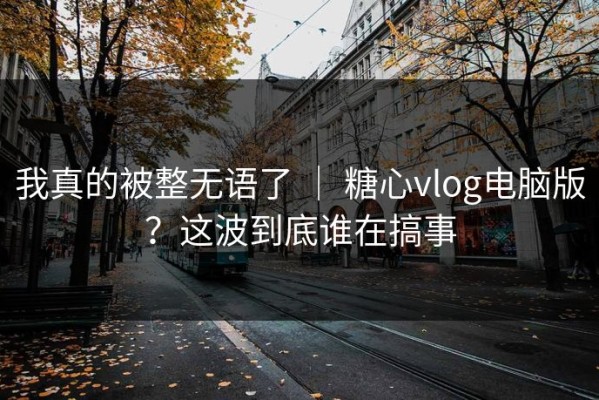 我真的被整无语了 ｜ 糖心vlog电脑版？这波到底谁在搞事