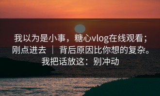 我以为是小事，糖心vlog在线观看；刚点进去 ｜ 背后原因比你想的复杂。我把话放这：别冲动