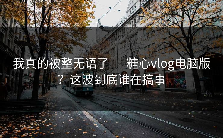 我真的被整无语了 ｜ 糖心vlog电脑版？这波到底谁在搞事